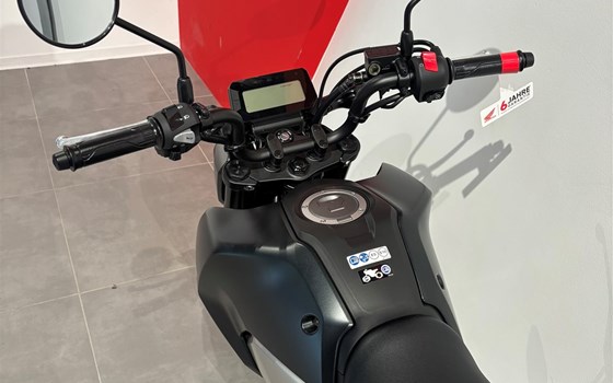 Neufahrzeug Honda MSX125 Grom - Bild 8