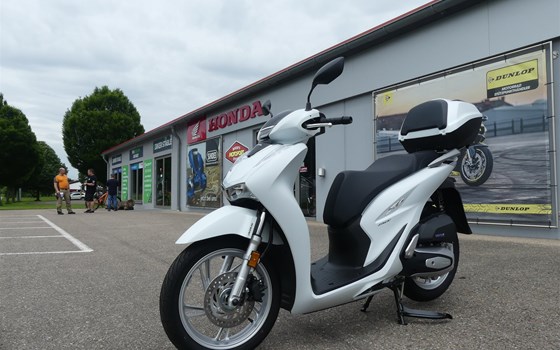 Gebrauchtmotorrad Honda SH150i - Bild 5