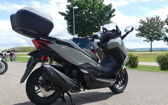 Gebrauchtmotorrad Honda Forza 350 - Bild 2