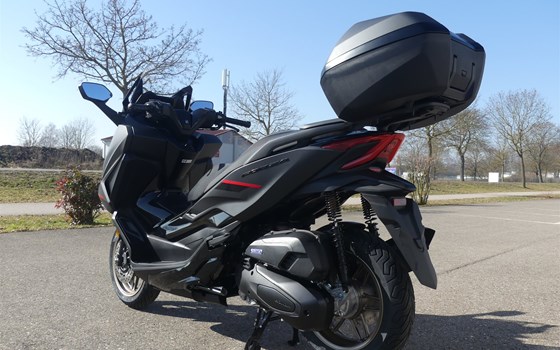 Gebrauchtmotorrad Honda Forza 350 - Bild 13