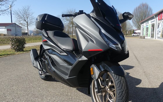 Gebrauchtmotorrad Honda Forza 350 - Bild 19