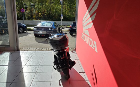Gebrauchtmotorrad Honda SH125i - Bild 3 Gebrauchtmotorrad Honda SH125i - Bild 3