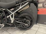 Angebot Triumph Tiger 900 Rally Pro