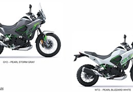 Neumotorrad Kawasaki KLE500 SE