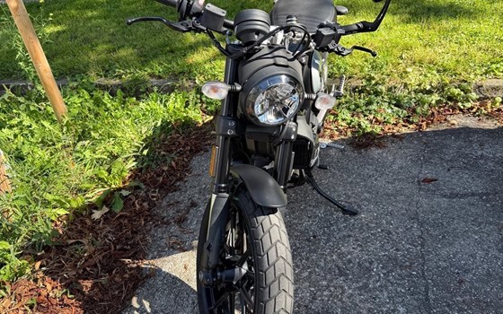 Gebrauchtmotorrad Ducati Scrambler Icon Dark - Bild 2 Gebrauchtmotorrad Ducati Scrambler Icon Dark - Bild 2