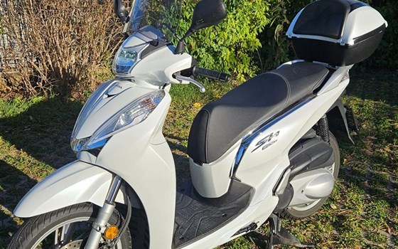 Gebrauchtmotorrad Honda SH300i - Bild 1 Gebrauchtmotorrad Honda SH300i - Bild 1