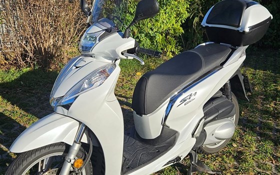Gebrauchtmotorrad Honda SH300i - Bild 1 Gebrauchtmotorrad Honda SH300i - Bild 1