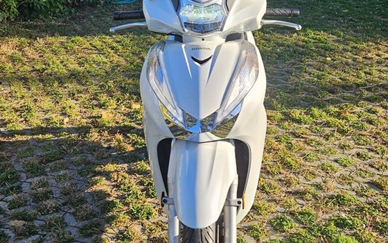 Gebrauchtmotorrad Honda SH300i - Bild 2 Gebrauchtmotorrad Honda SH300i - Bild 2
