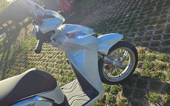 Gebrauchtmotorrad Honda SH300i - Bild 8 Gebrauchtmotorrad Honda SH300i - Bild 8