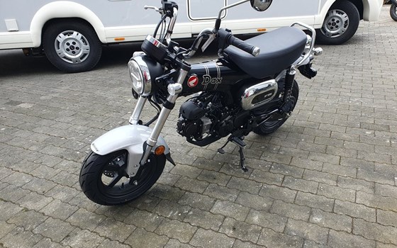 Gebrauchtmotorrad Honda Dax 125 - Bild 14
