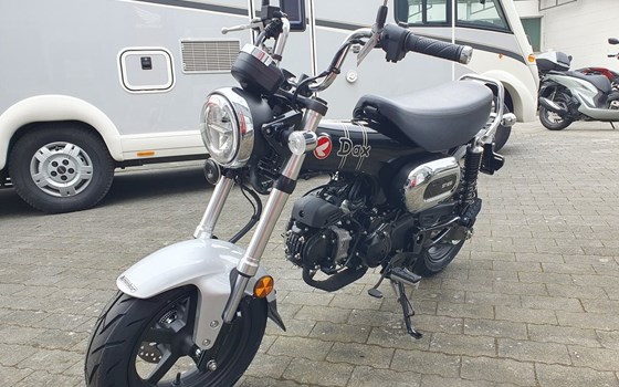 Gebrauchtmotorrad Honda Dax 125 - Bild 15
