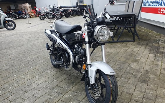 Neufahrzeug Honda Dax 125 - Bild 3
