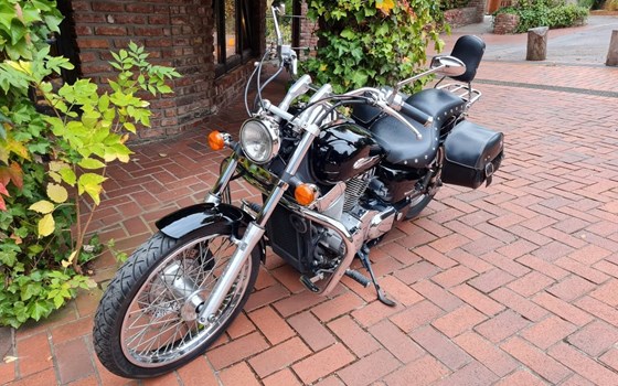 Gebrauchtmotorrad Honda VT 750 C2 Shadow Spirit - Bild 17