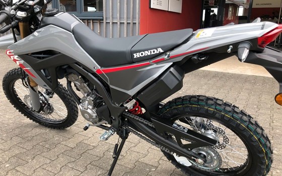 Neufahrzeug Honda CRF300L - Bild 3