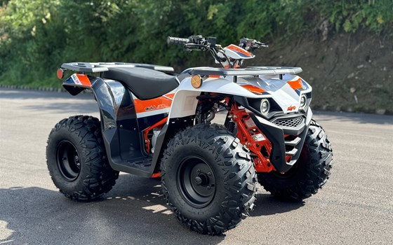 Neufahrzeug Kayo Racing Bull 125 - Bild 8 Neufahrzeug Kayo Racing Bull 125 - Bild 8