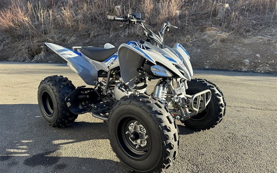 Neufahrzeug Mikilon Pentora ATV 250 - Bild 1 Neufahrzeug Mikilon Pentora ATV 250 - Bild 1