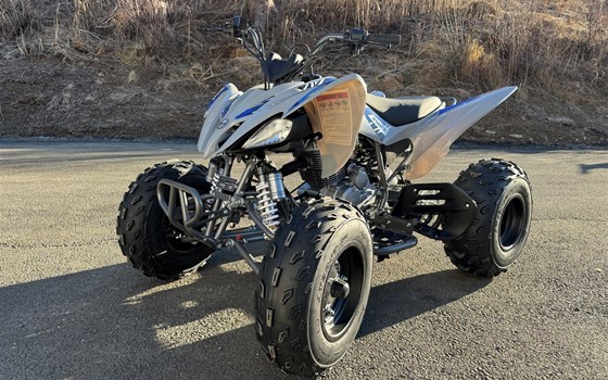 Neufahrzeug Mikilon Pentora ATV 250 - Bild 5 Neufahrzeug Mikilon Pentora ATV 250 - Bild 5