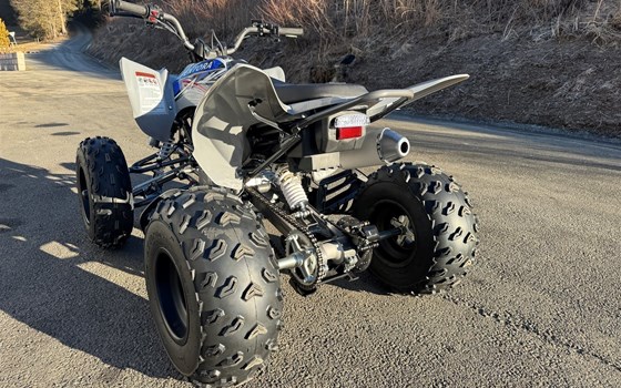 Neufahrzeug Mikilon Pentora ATV 250 - Bild 6 Neufahrzeug Mikilon Pentora ATV 250 - Bild 6