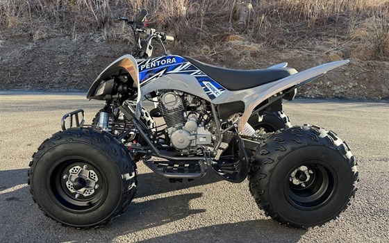 Neufahrzeug Mikilon Pentora ATV 250 - Bild 7 Neufahrzeug Mikilon Pentora ATV 250 - Bild 7