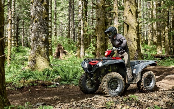 Neufahrzeug Yamaha Grizzly 700 EPS - Bild 4 Neufahrzeug Yamaha Grizzly 700 EPS - Bild 4