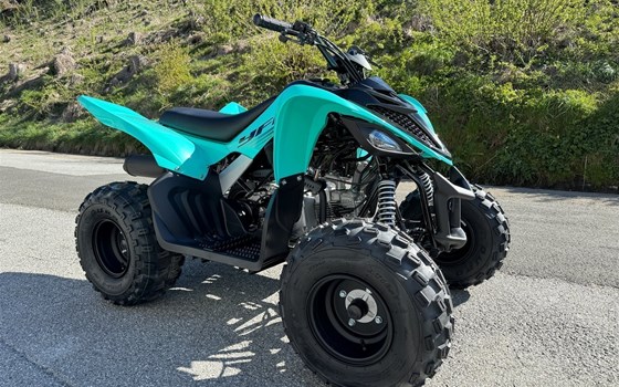 Neufahrzeug Yamaha YFM110R - Bild 1 Neufahrzeug Yamaha YFM110R - Bild 1