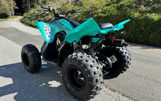 Neufahrzeug Yamaha YFM110R - Bild 11 Neufahrzeug Yamaha YFM110R - Bild 11