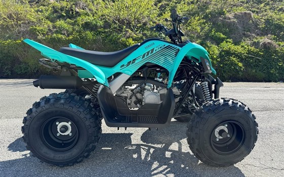 Neufahrzeug Yamaha YFM110R - Bild 3 Neufahrzeug Yamaha YFM110R - Bild 3
