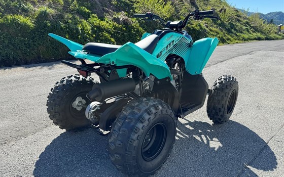 Neufahrzeug Yamaha YFM110R - Bild 4 Neufahrzeug Yamaha YFM110R - Bild 4