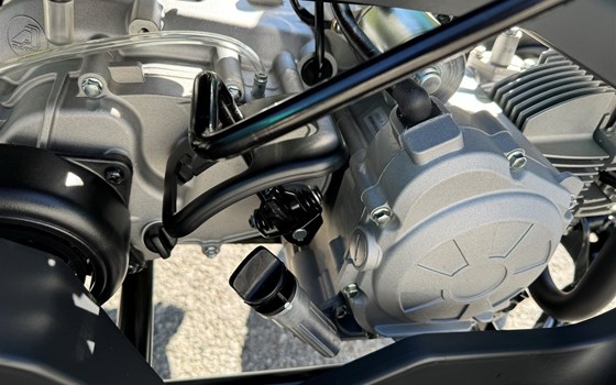 Neufahrzeug Yamaha YFM110R - Bild 7 Neufahrzeug Yamaha YFM110R - Bild 7