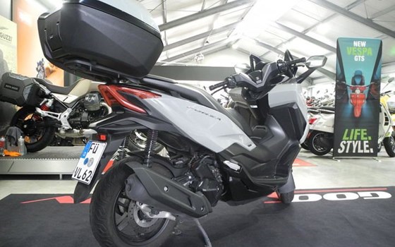 Gebrauchtmotorrad Honda Forza 125 - Bild 7