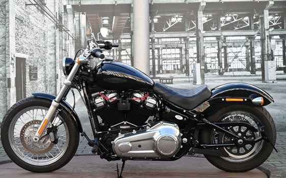 Gebrauchtmotorrad Harley-Davidson Softail Street Bob FXBB - Bild 8