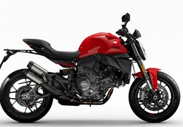 Neumotorrad Ducati Monster