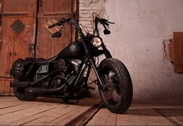Gebrauchte Harley-Davidson Dyna Low Rider FXDL Gebrauchte Harley-Davidson Dyna Low Rider FXDL