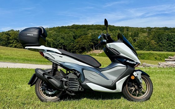 Gebrauchtmotorrad Malaguti Madison 125 - Bild 11