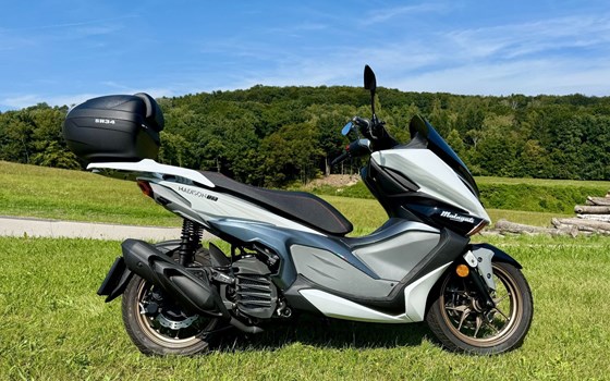 Gebrauchtmotorrad Malaguti Madison 125 - Bild 8