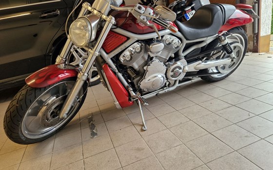 Gebrauchtmotorrad Harley-Davidson V-Rod VRSCA - Bild 3