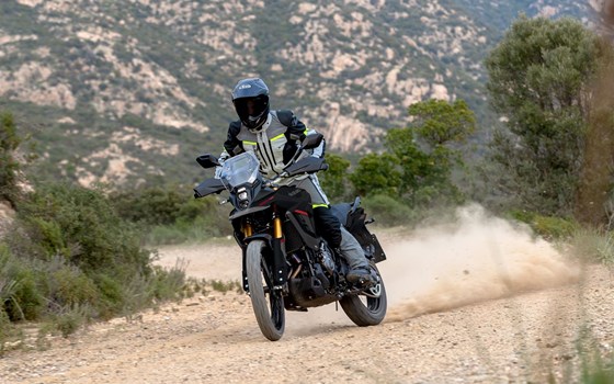 Neufahrzeug Suzuki V-Strom 800DE - Bild 2