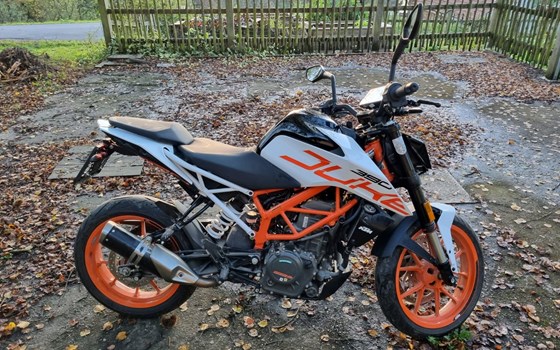 Gebrauchtmotorrad KTM 390 Duke - Bild 5 Gebrauchtmotorrad KTM 390 Duke - Bild 5