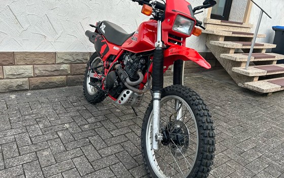 Gebrauchtmotorrad Honda XL 600R - Bild 3