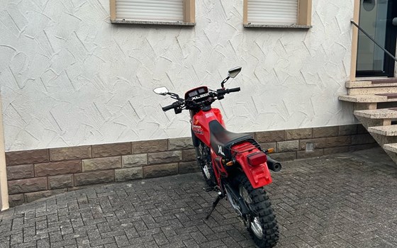 Gebrauchtmotorrad Honda XL 600R - Bild 7