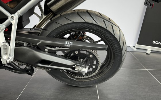 Neufahrzeug Triumph Tiger 900 GT Pro - Bild 6 Neufahrzeug Triumph Tiger 900 GT Pro - Bild 6