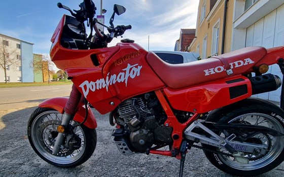 Gebrauchtmotorrad Honda NX 500 Dominator - Bild 4 Gebrauchtmotorrad Honda NX 500 Dominator - Bild 4