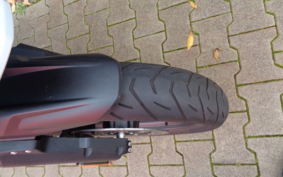 Gebrauchtmotorrad Triumph Tiger 1200 Alpine Edition - Bild 13