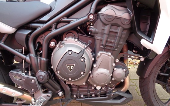 Gebrauchtmotorrad Triumph Tiger 1200 Alpine Edition - Bild 8