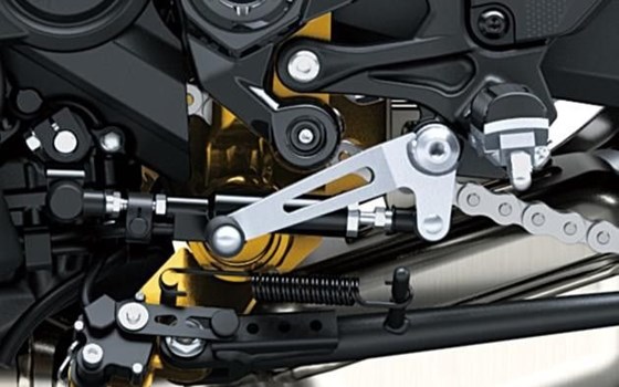 Neufahrzeug Kawasaki Z900 - Bild 6