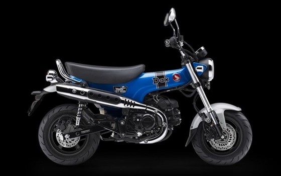 Neufahrzeug Honda Dax 125 - Bild 1