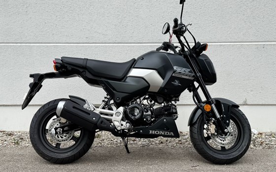 Gebrauchtmotorrad Honda MSX125 Grom - Bild 1