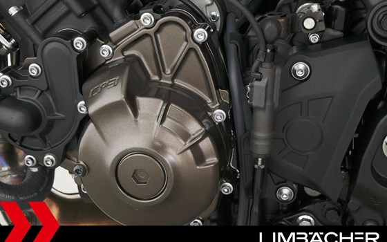 Gebrauchtmotorrad Yamaha XSR900 - Bild 15