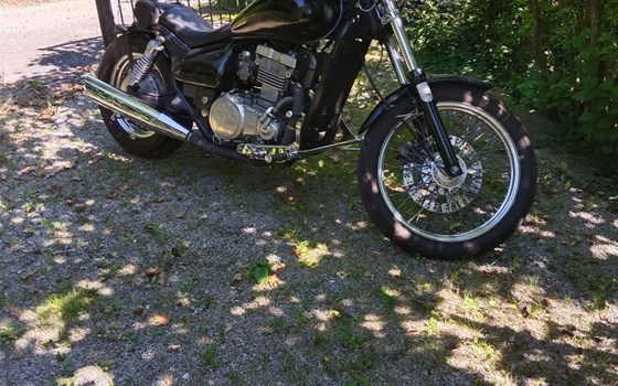 Gebrauchtmotorrad Kawasaki EN 500 - Bild 4