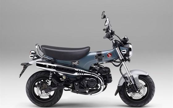 Neufahrzeug Honda Dax 125 - Bild 11 Neufahrzeug Honda Dax 125 - Bild 11